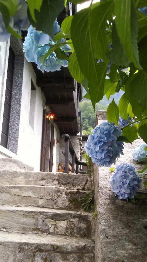 Casa Zizi Villa โครโด ภายนอก รูปภาพ